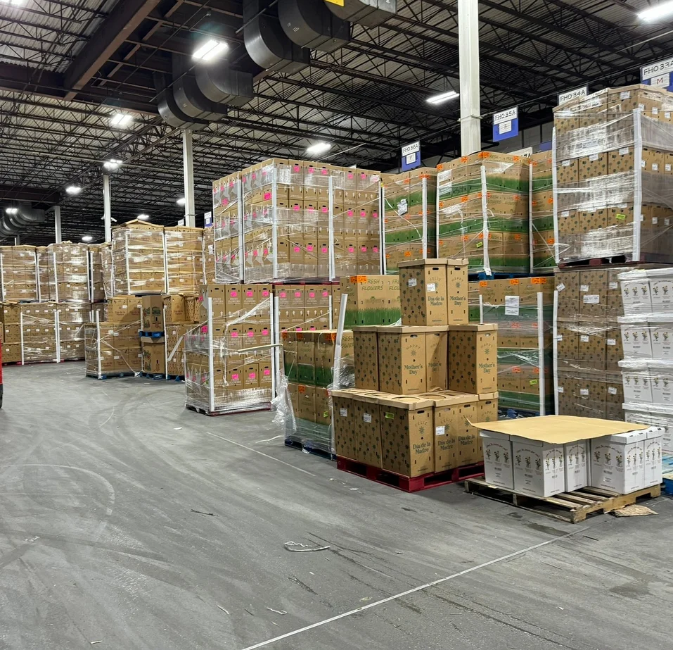 Serbest Bölge & Antrepo İşlemleri